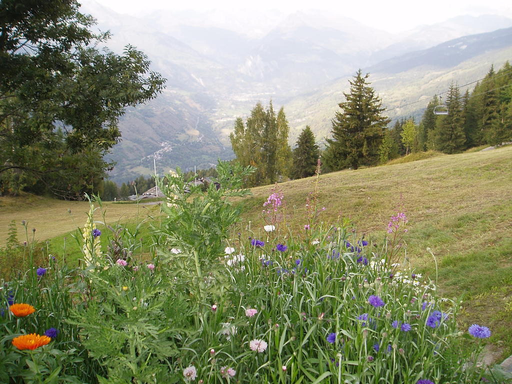 Chalet Les Gentianes La Plagne Værelse billede