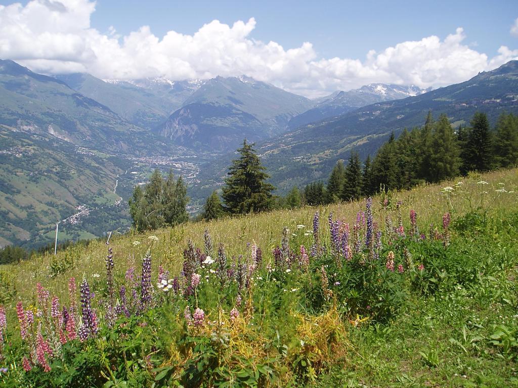 Chalet Les Gentianes La Plagne Eksteriør billede